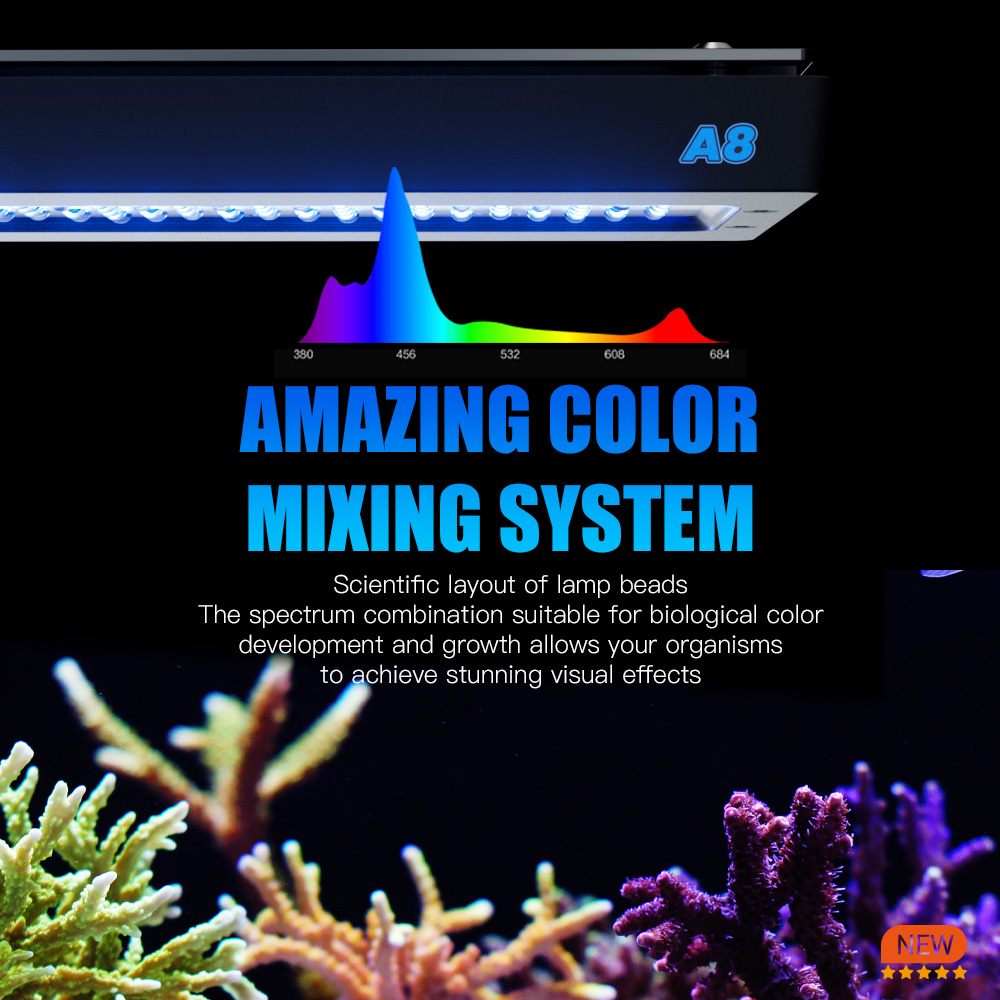 A8 Pro II Max 240W 8 canaux CR - Wifi Led Dimmer avis et prix