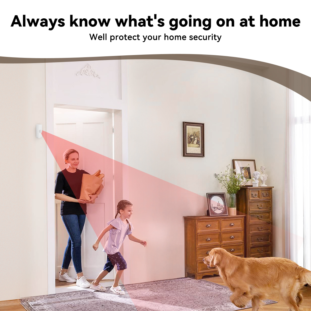 Détecteur de mouvement PIR int - Smart Home News avis et prix