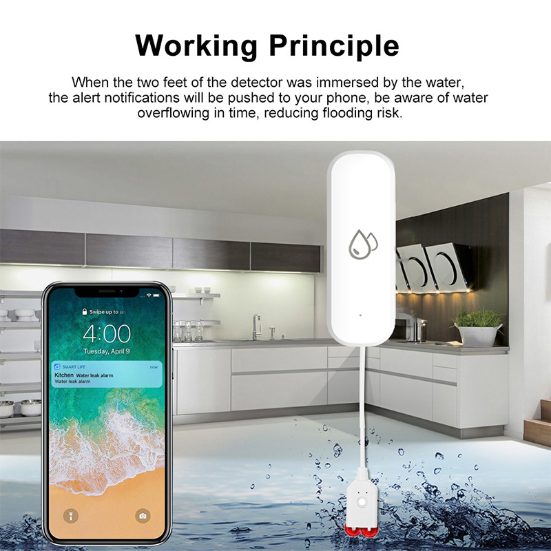 Capteur d'alarme de fuite d'ea - Smart Home News avis et prix